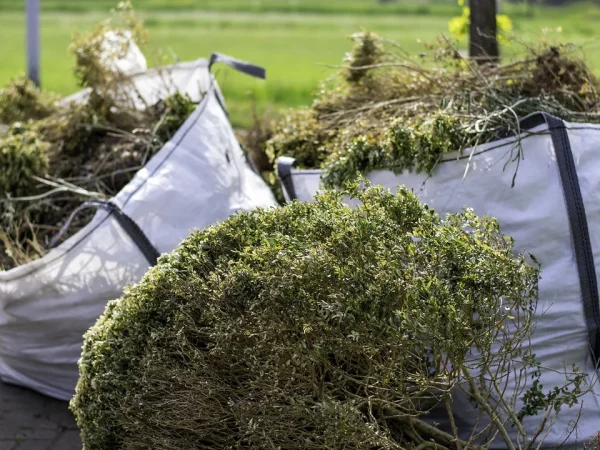 67b72485b626f1f22f21a5a5_garden-waste-removal